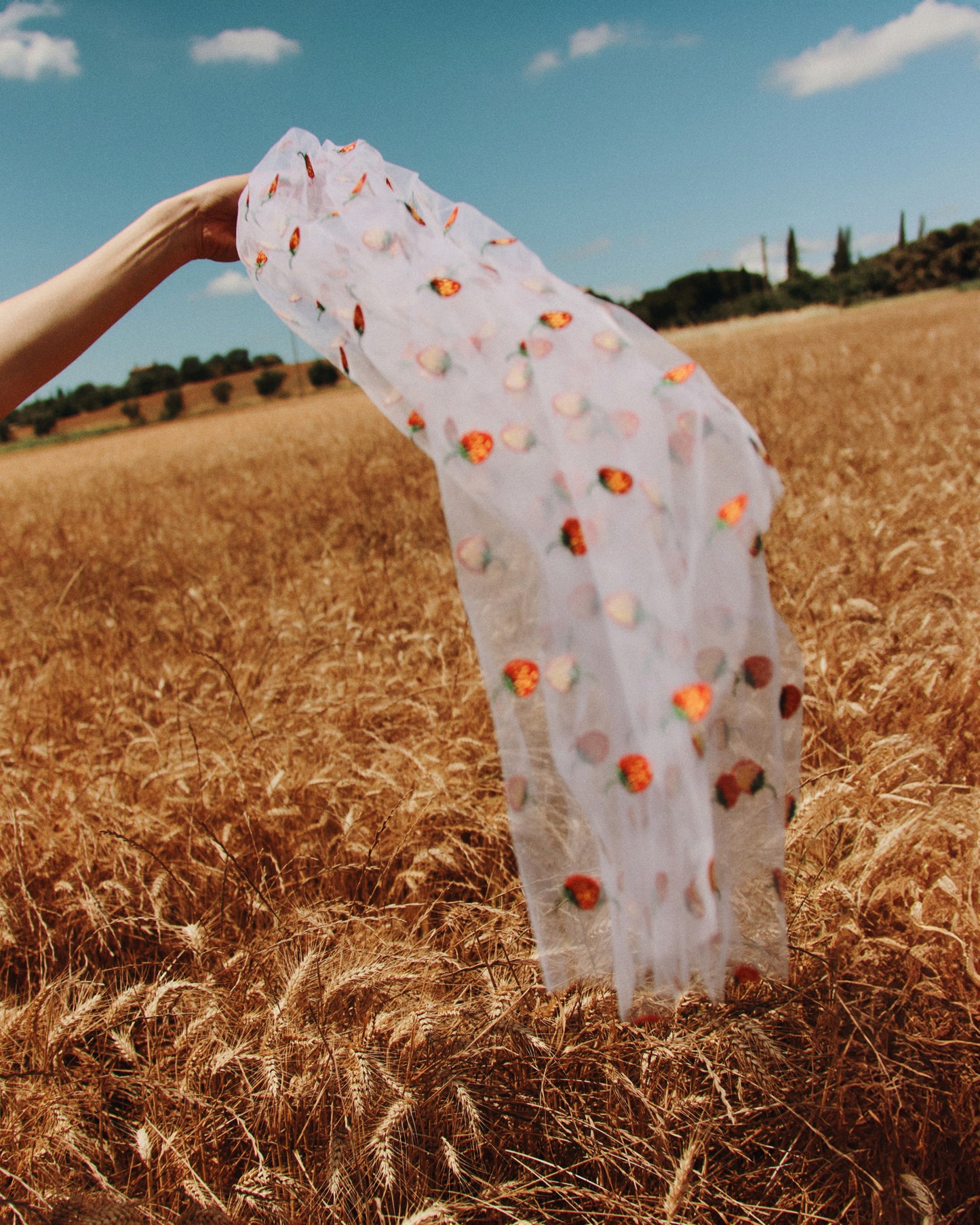 Wedding veil with strawberries. Fragole, sposa.