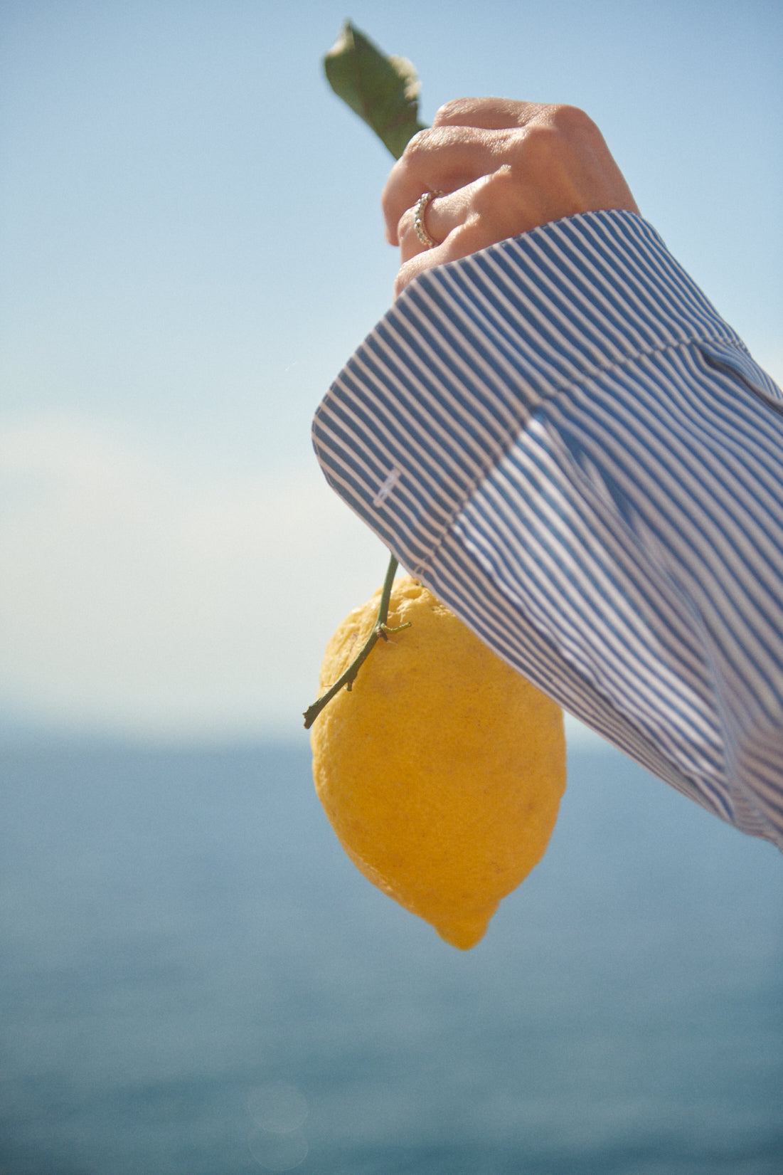 Koszula Napoli Stripes Navy